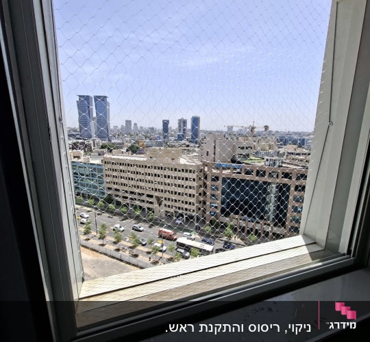 חלון עם רשת נגד יונים ונוף עירוני